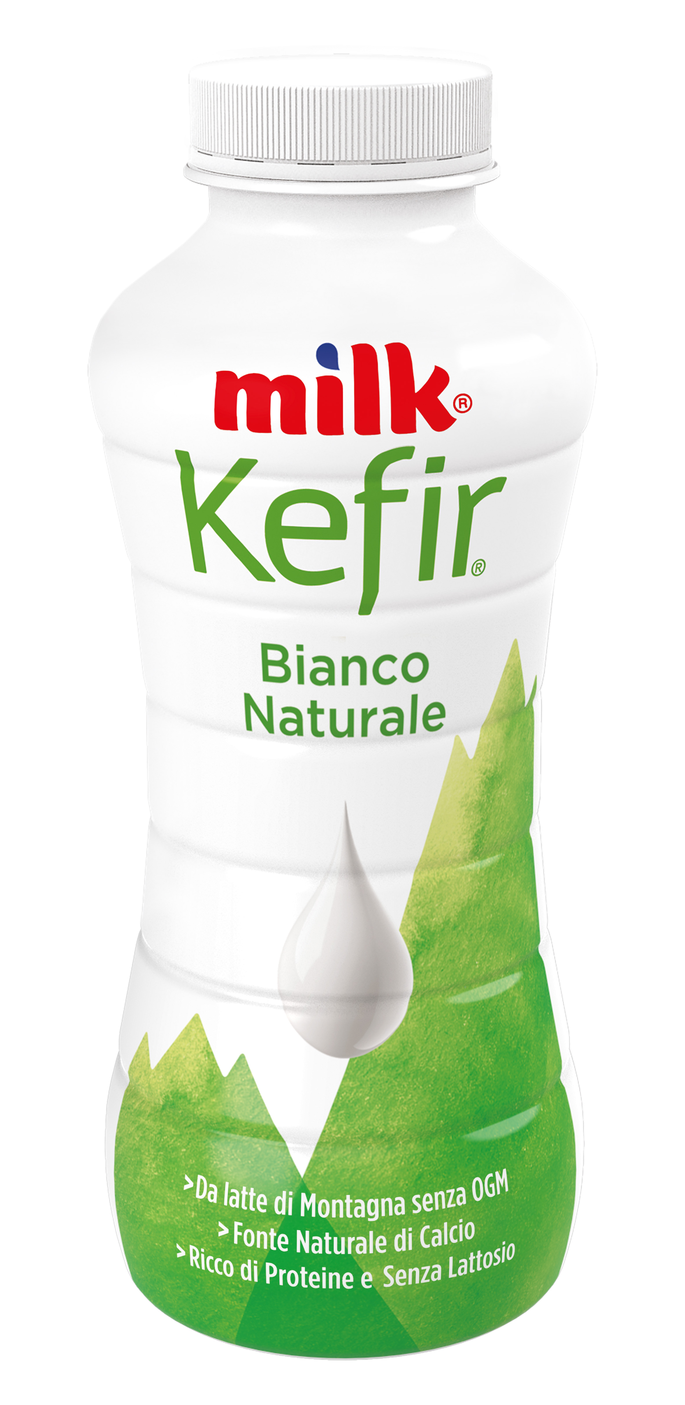 BERE KEFIR BIANCO NAT g480 MILK