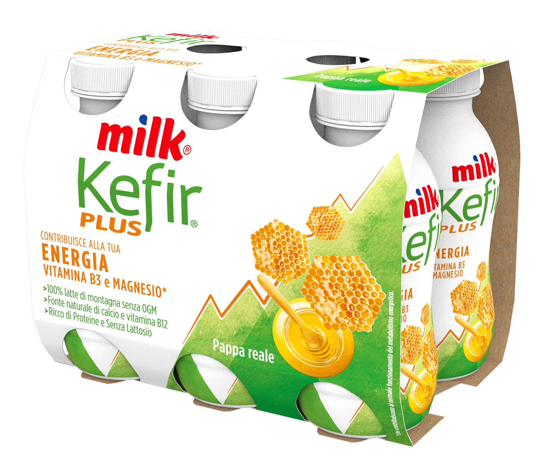 KEFIR PLUS PAPPA REALE g100*6 MILK