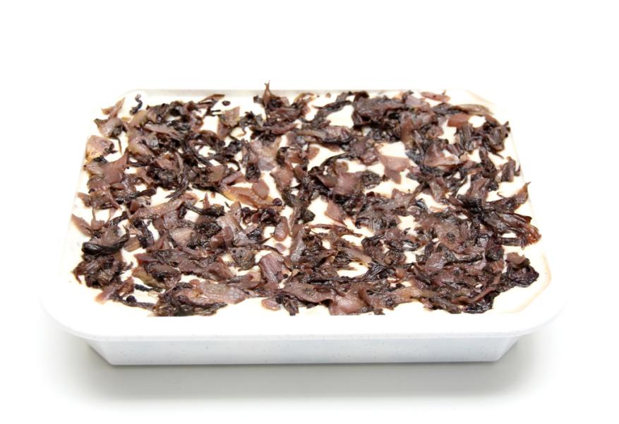 LASAGNE RADICCHIO E SPECK kg 2,8