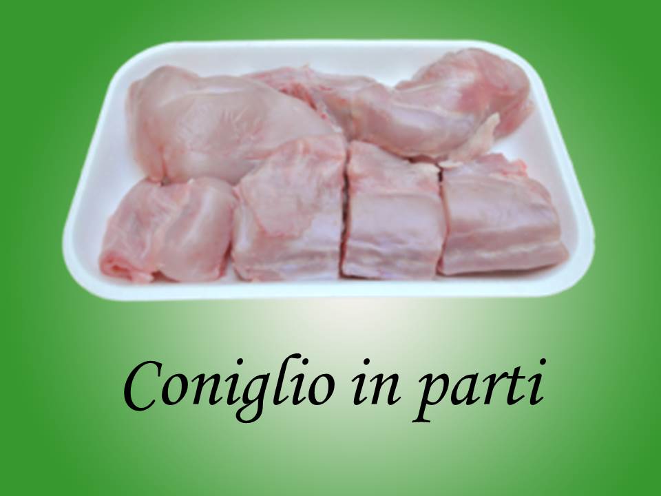 CONIGLIO IN PARTI g700*4 CF