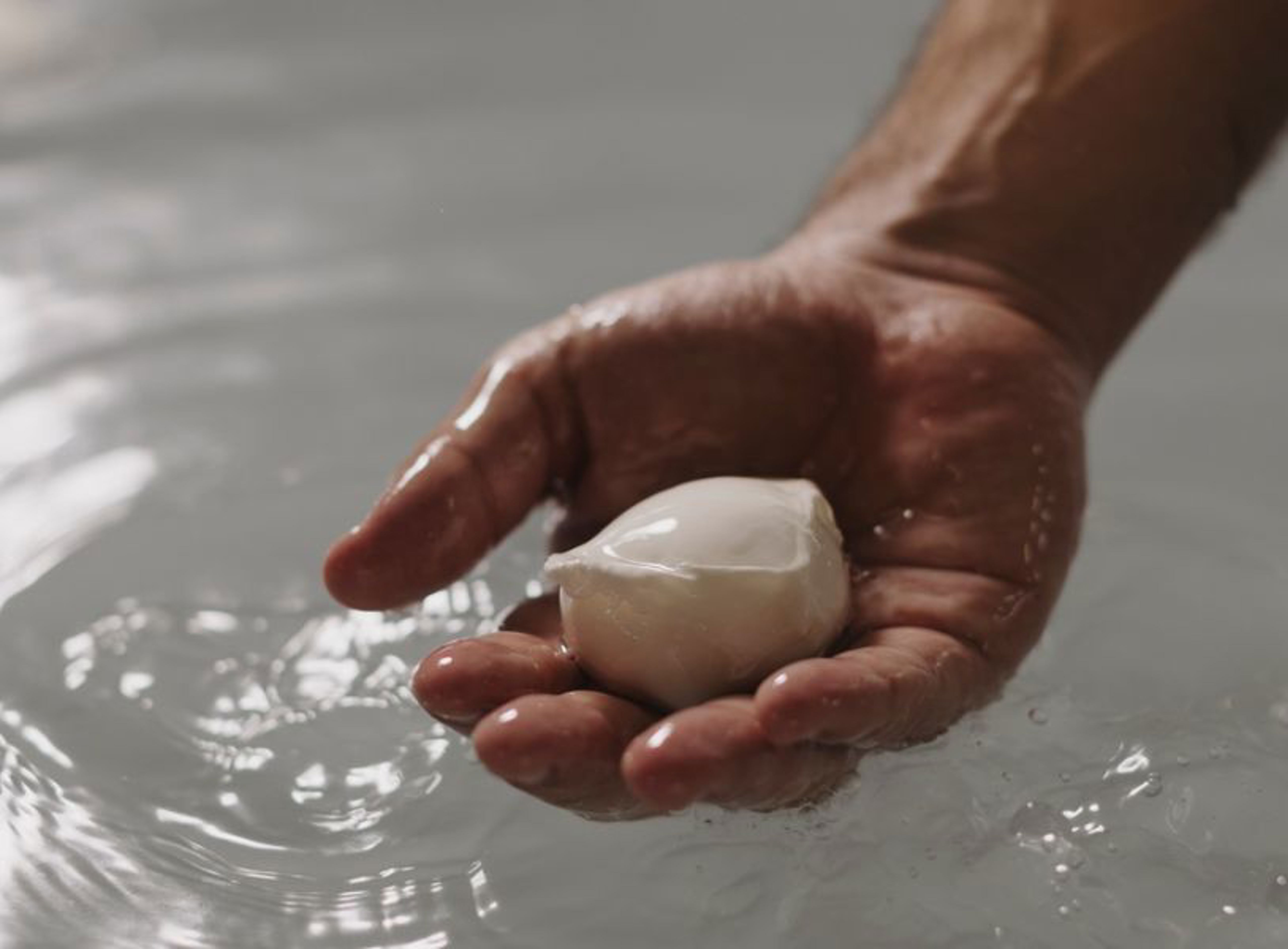 Testo E Immagine Formaggi