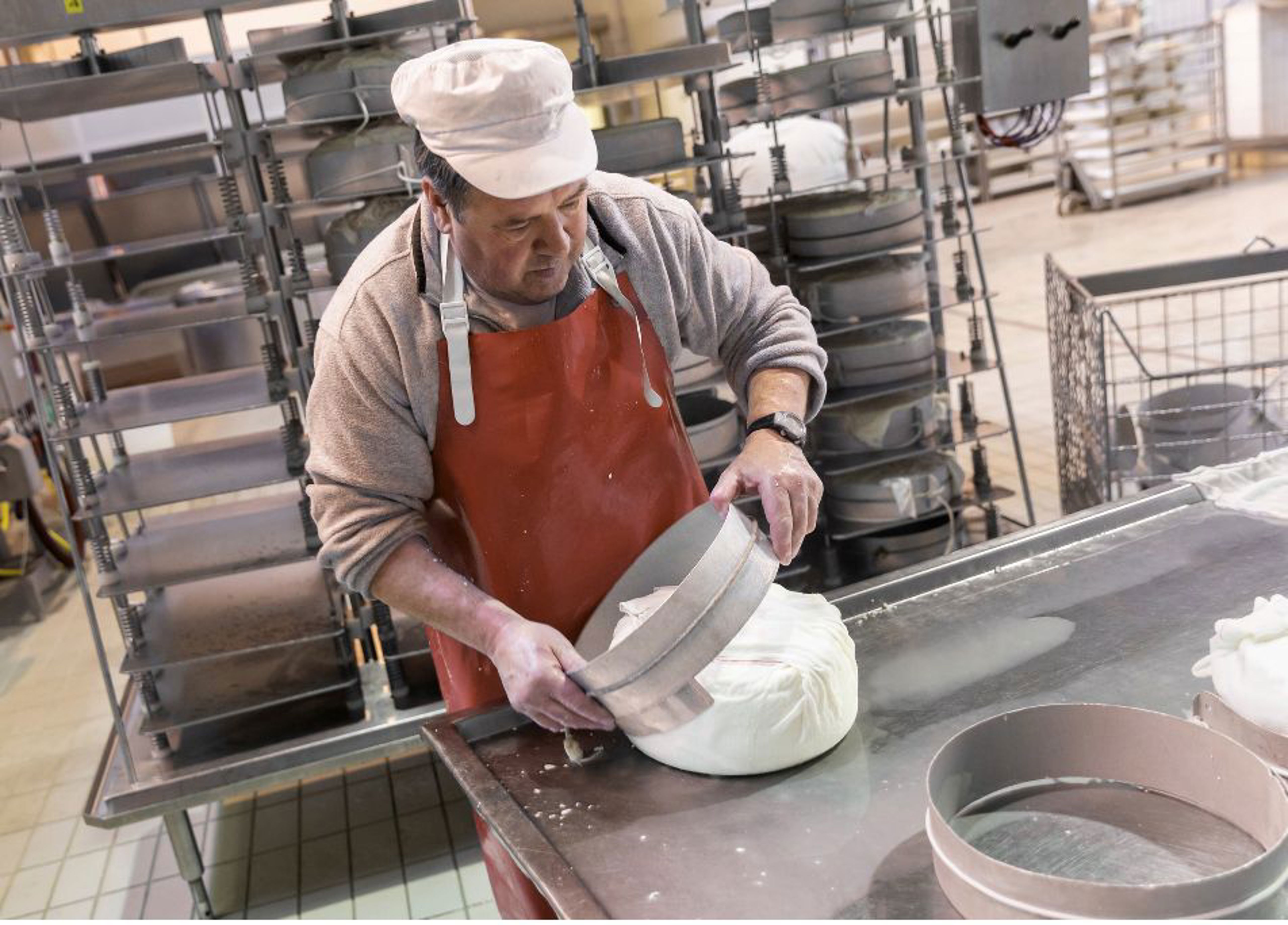 Immagine Testo E Immagine Home