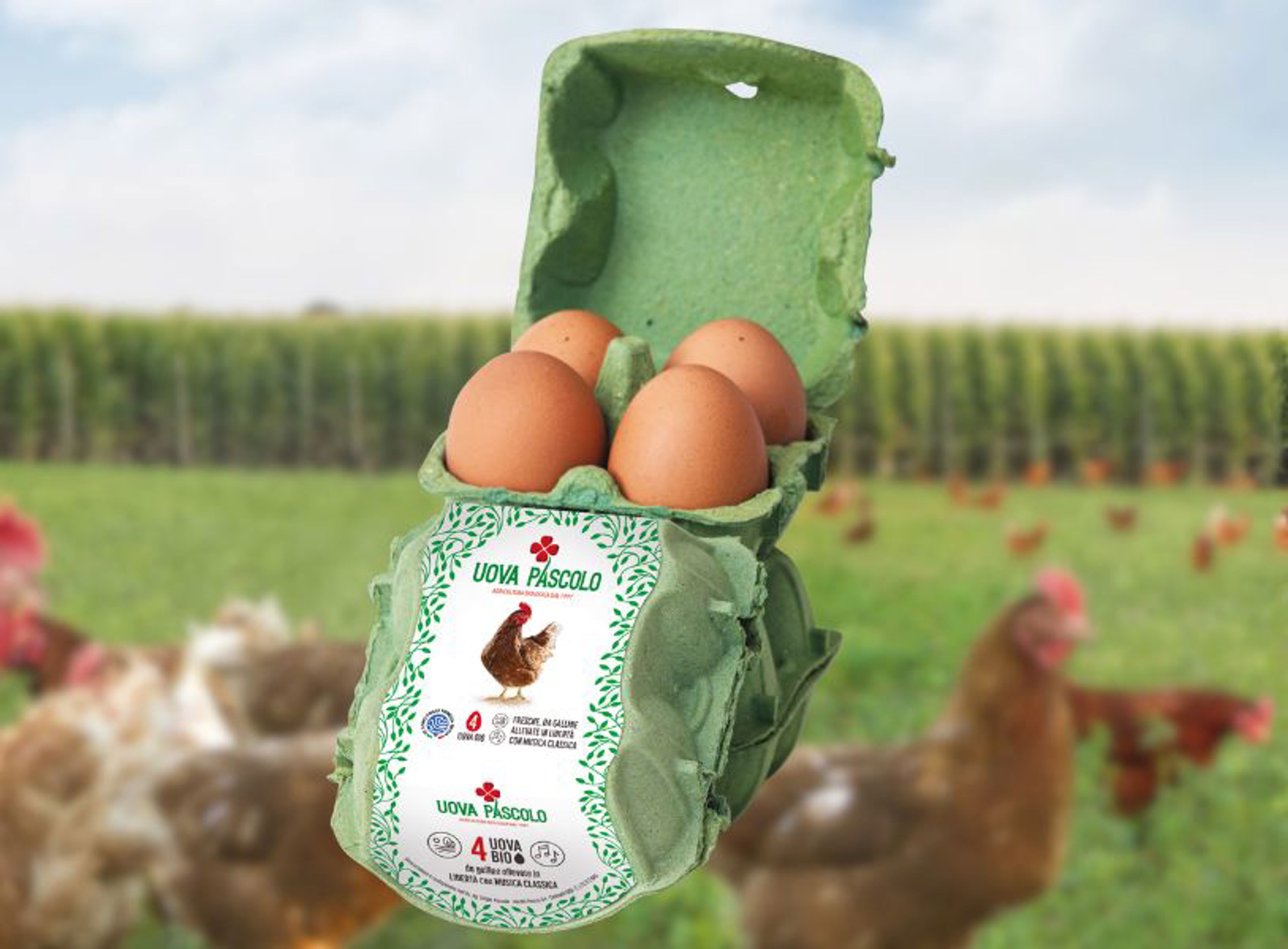 Testo E Immagine Latticini