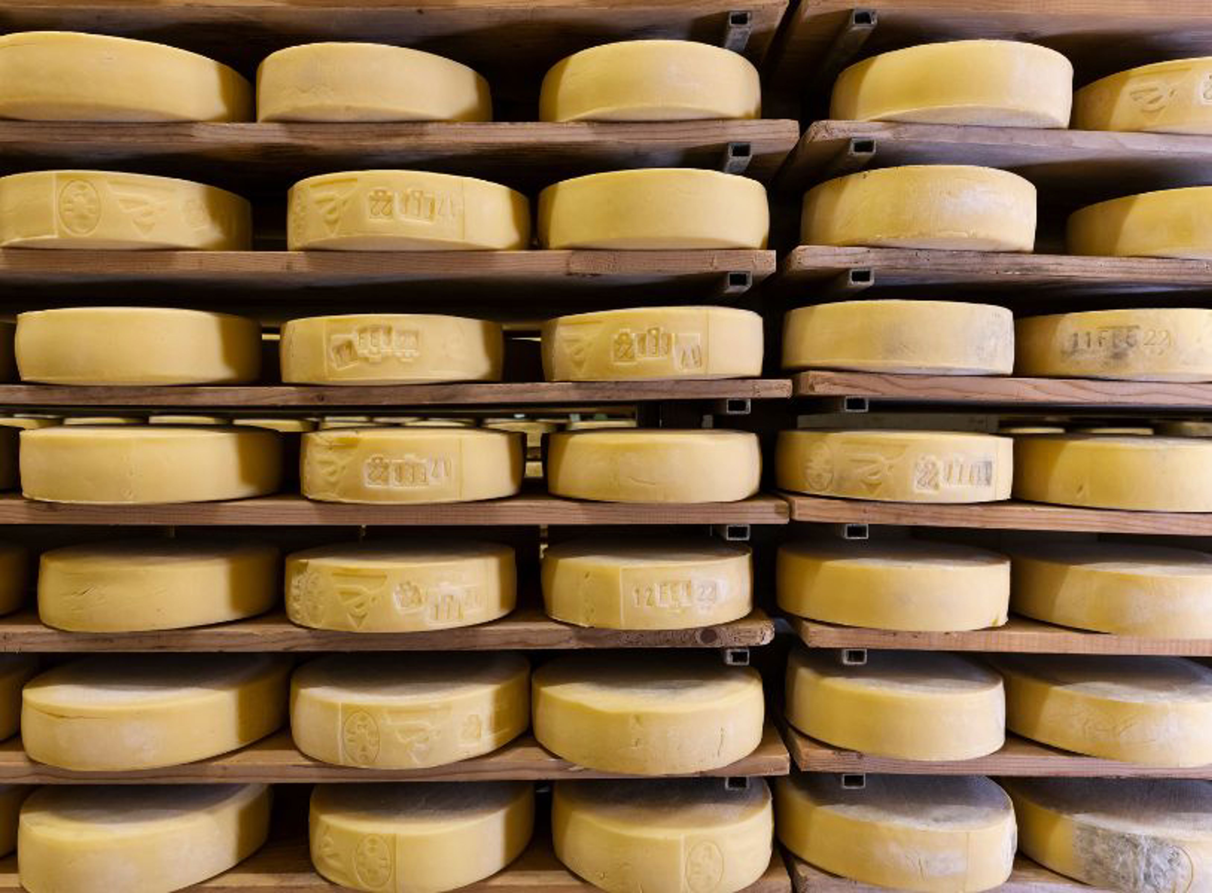 Testo E Immagine Formaggio Sant'agnese