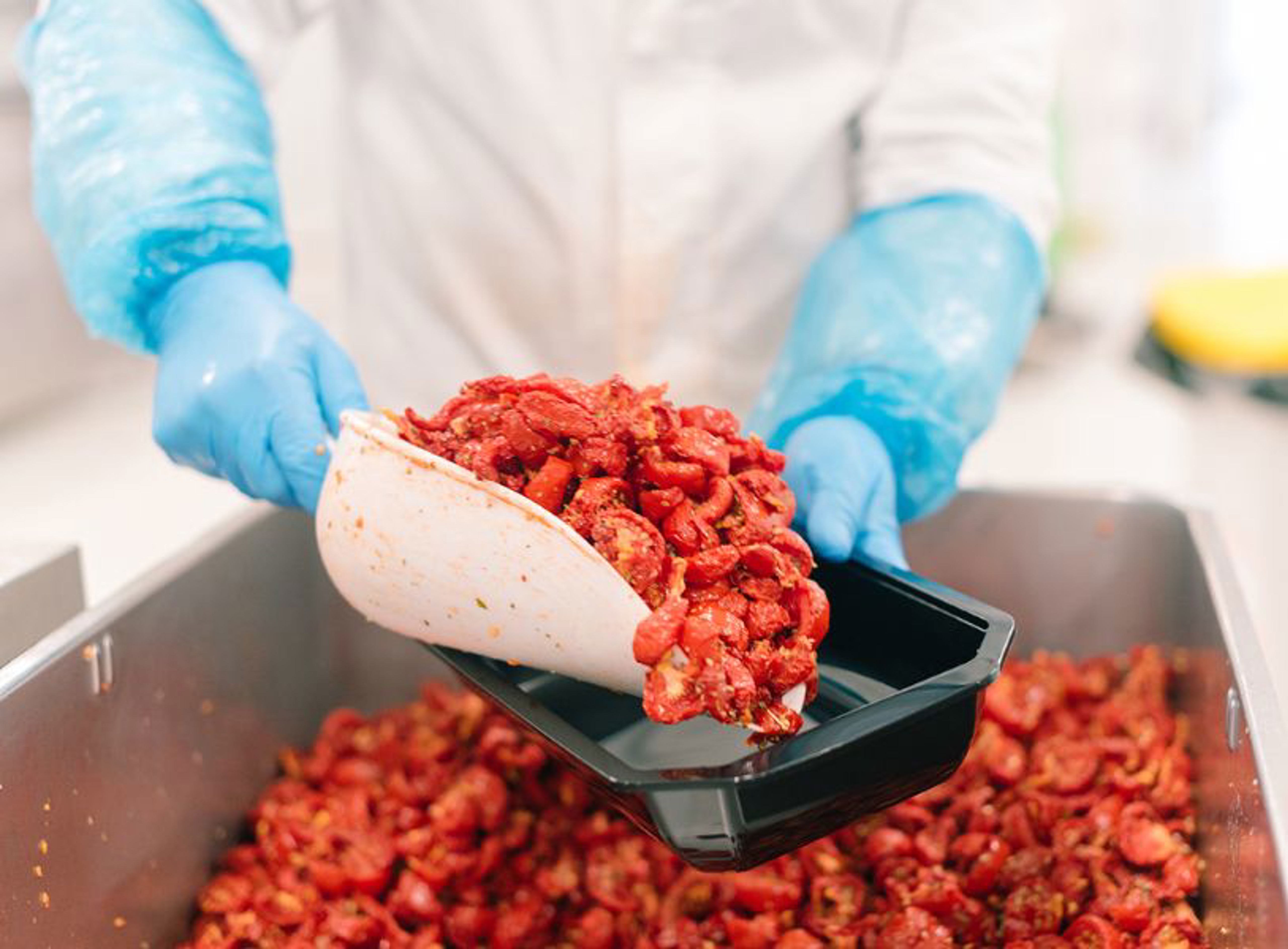 Testo E Immagine Casa Venfri